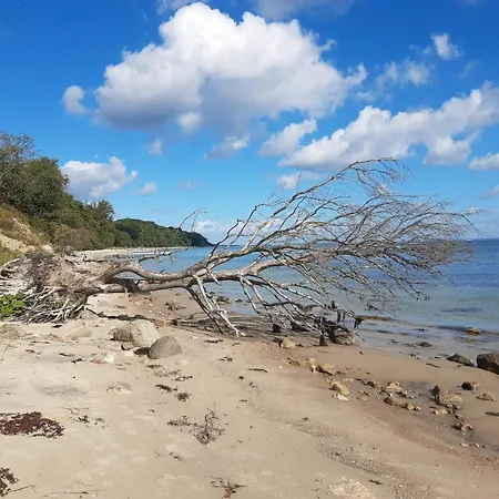 5 Star In Sydals Hébergement de vacances Sarup